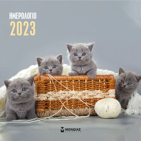 2023, Γατάκια Τοίχου